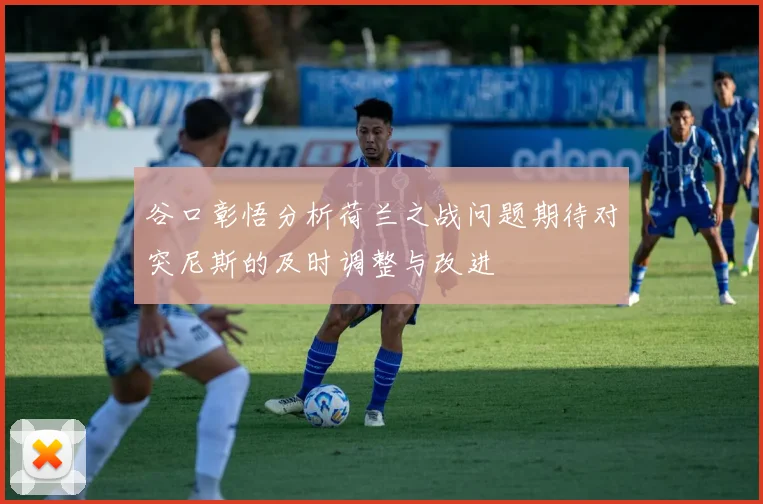 谷口彰悟分析荷兰之战问题期待对突尼斯的及时调整与改进